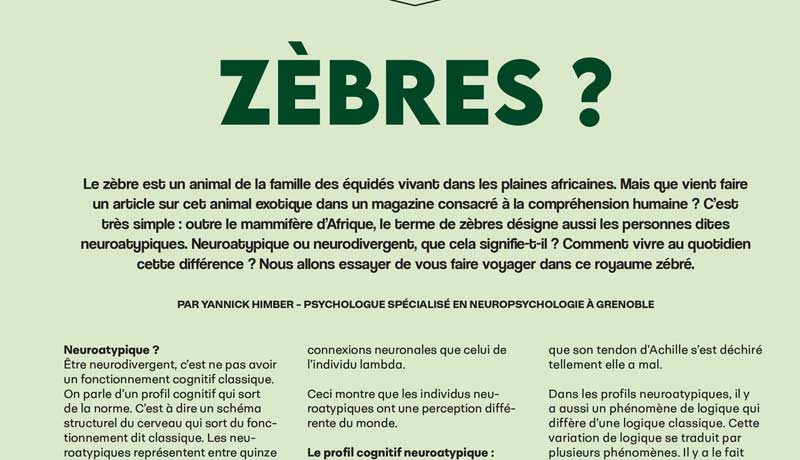 Neuropsychologue, psychologue pour enfant, adulte et adolescent sur Grenoble